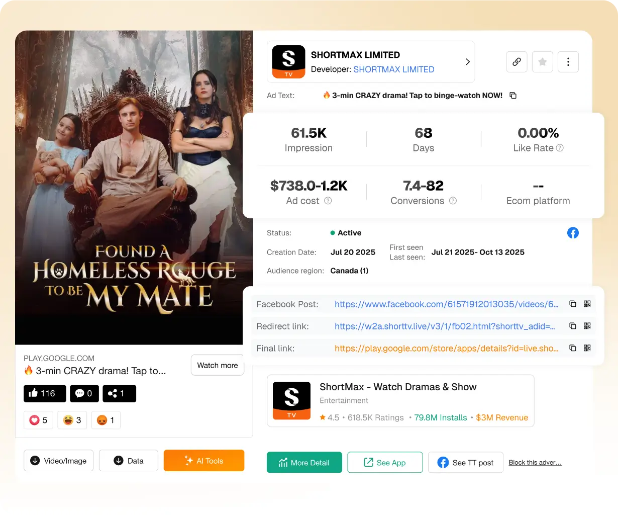 Ad Performance & ROI Tracking